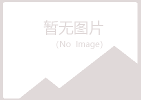 八公山区缠绵制造有限公司